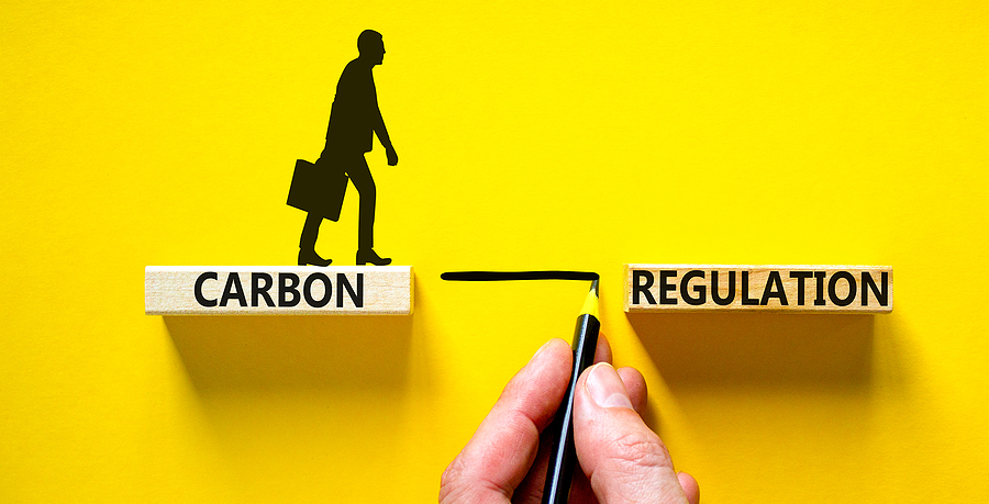 Market integrity and standardisation: shaping the rules of the voluntary carbon market