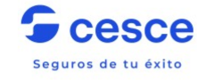 CESCE Credit Insurance